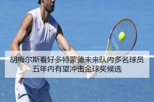 胡梅尔斯看好多特蒙德未来队内多名球员五年内有望冲击金球奖候选